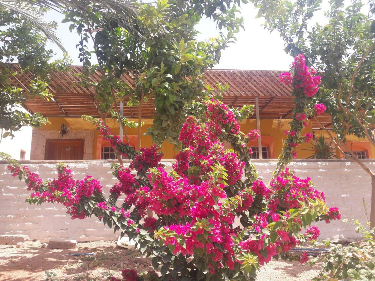 Darna Divers Village Aqaba Exterior foto