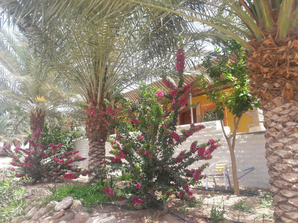 Darna Divers Village Aqaba Exterior foto